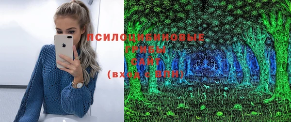 мяу мяу кристалл Алексин
