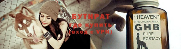 сатива Алзамай