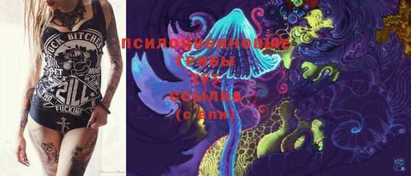 спиды Новозыбков