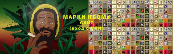 сатива Алзамай