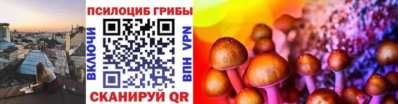 Галлюциногенные грибы Psilocybine cubensis  ОМГ ОМГ как зайти  Черепаново 